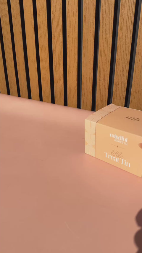 Little Treat Biscuit Tin